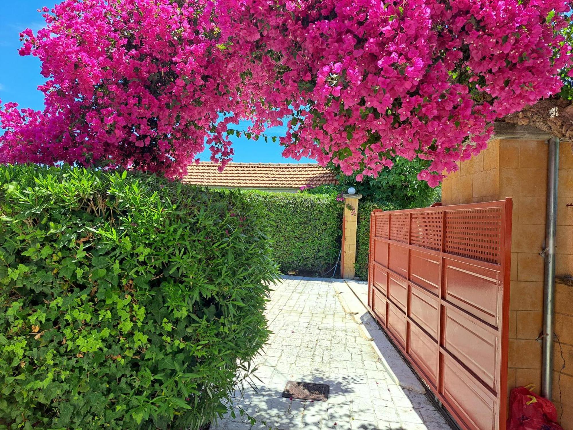 Holiday Home Orfanos Armenoi  Exterior photo